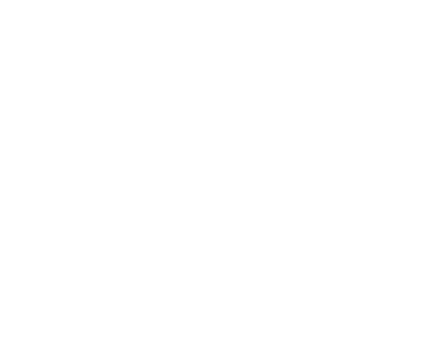 Carmen Baeza Schwaiger