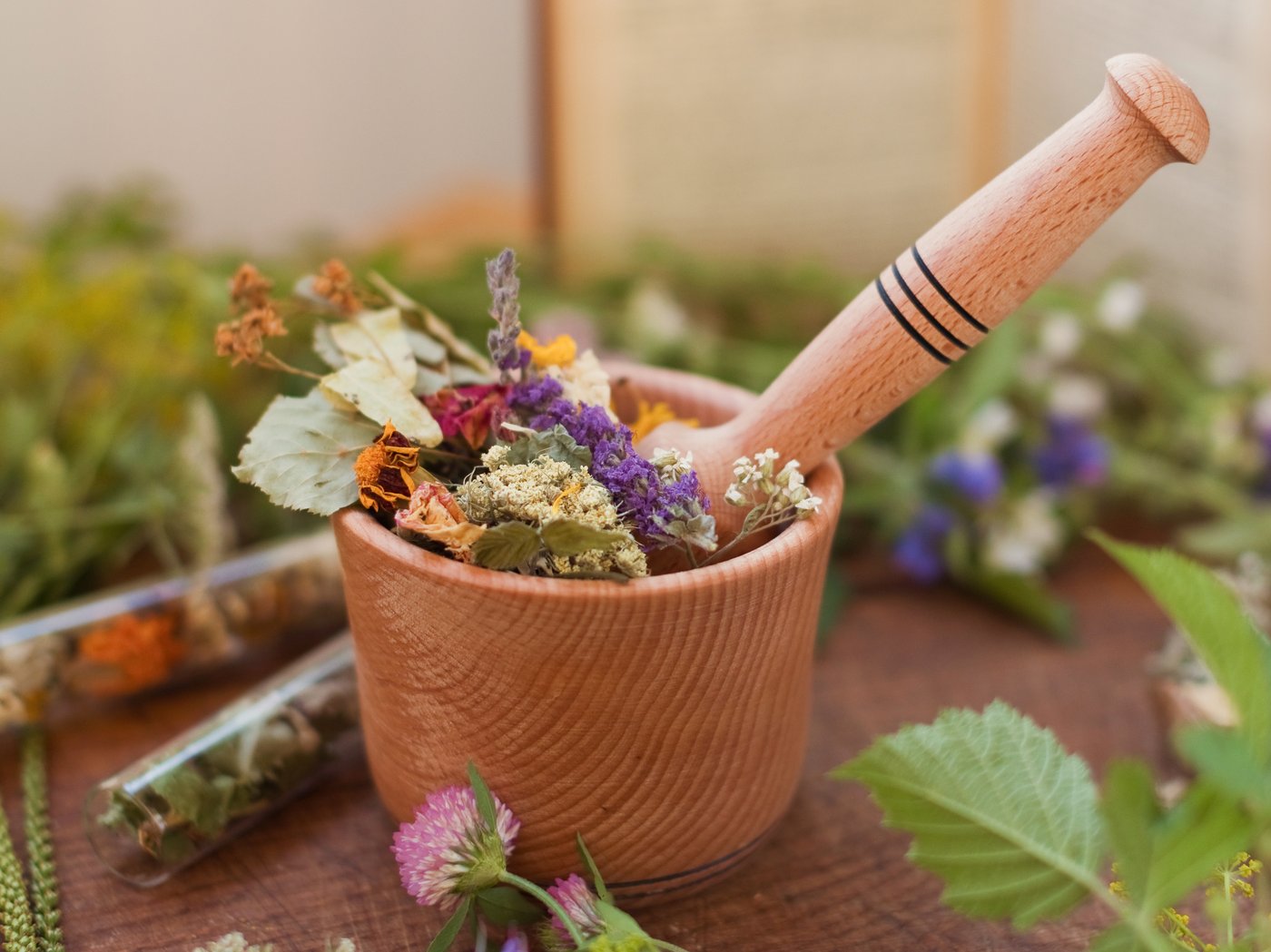 Fitoterapia — plantas medicinales